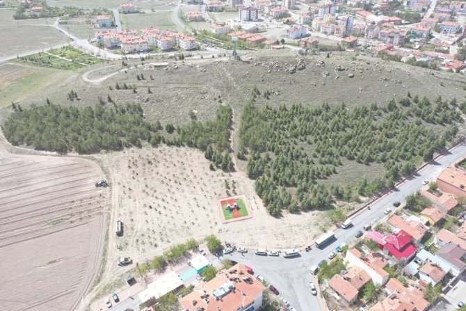 Başkan Çolakbayrakdar: “Dikilen Her Bir Ağaç, Geleceğe Bırakılan En Büyük Mirastır”