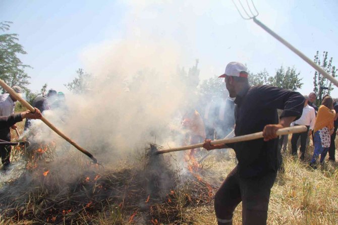 Geleneksel Yöntemlerle Yapılan Firik Ütme Başladı