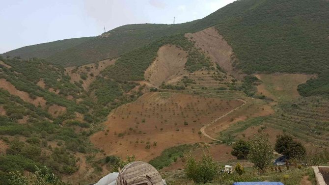 Kurtlar Vadisini Ceviz Fidanlarıyla Yeşil Vadiye Dönüştürdü