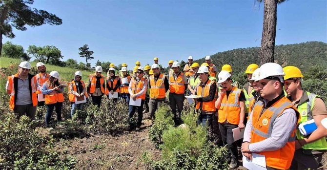 Kütahya’da Ağaçlandırma Ve Silvikültür Tatbikatları