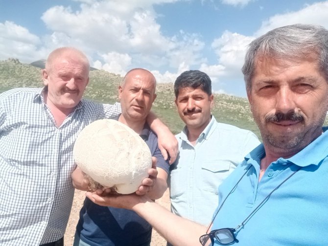 Niğde’de 3 Kiloluk Mantar Bulundu