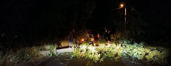 Şiddetli Rüzgar Ağaçları Devirdi, Kapanan Yollar Ekipler Sayesinde Açıldı