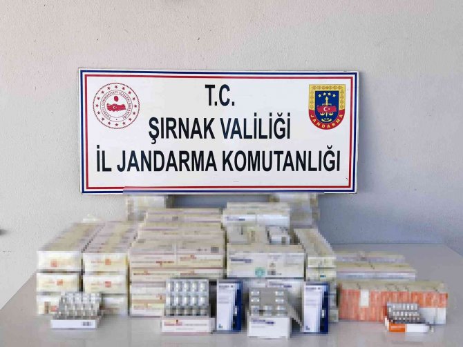 Şırnak’ta Kaçakçılık Ve Asayiş Operasyonu: 49 Gözaltı