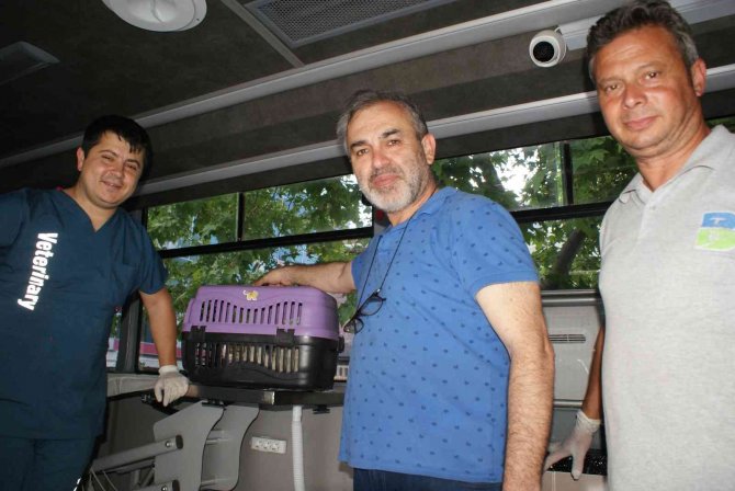 Sokak Hayvanları İçin Vetbüs Manyas’ta