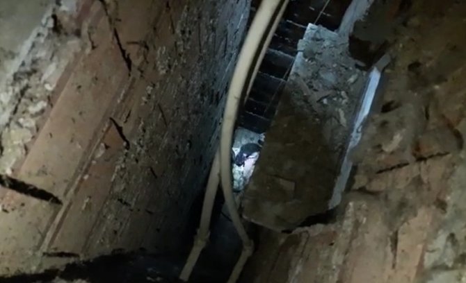 Havalandırma Boşluğuna Düşen Yavru Kedileri İtfaiye Ekipleri Kurtardı