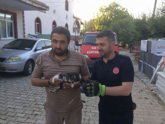 Havalandırma Boşluğuna Düşen Yavru Kedileri İtfaiye Ekipleri Kurtardı