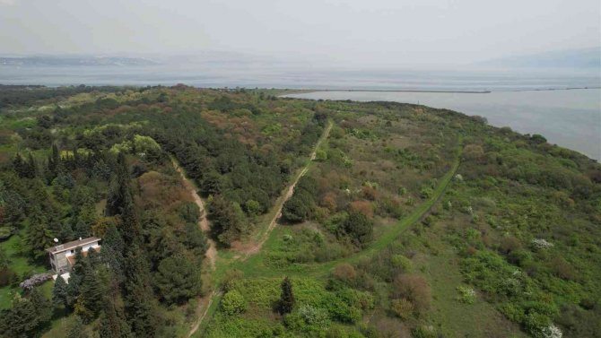 Yalova Altınova Tarihinin Sıfır Noktasına İniliyor