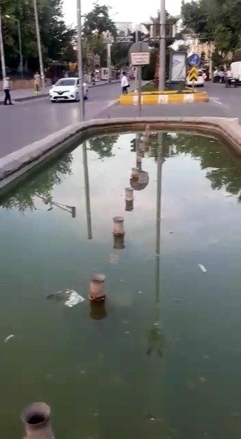 Süs Havuzlarında Haşereler Üredi