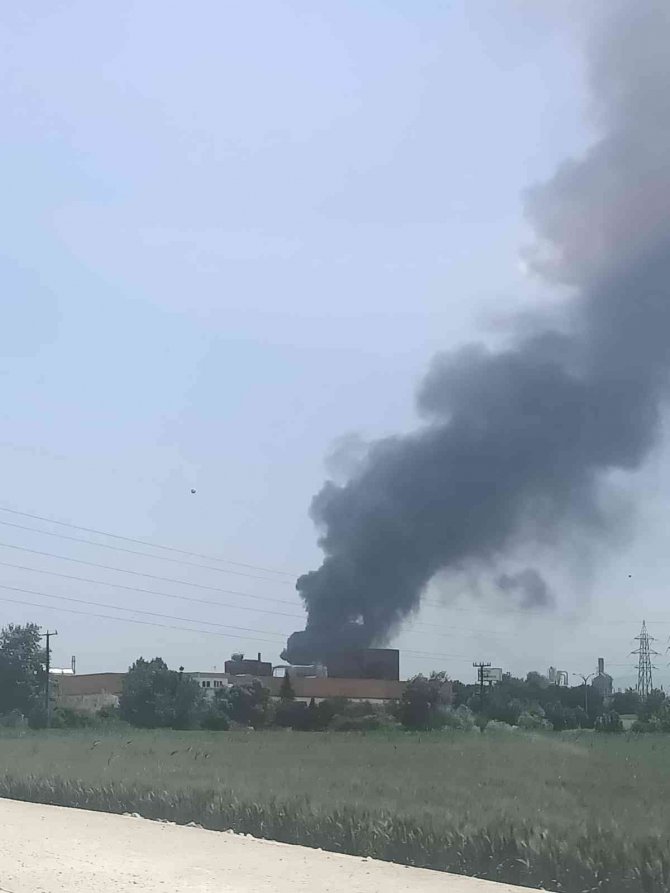 Bursa’da Orman Ürünleri Fabrikasında Kazan Patladı, Yangın Çıktı: 1 Ölü, 3 Yaralı