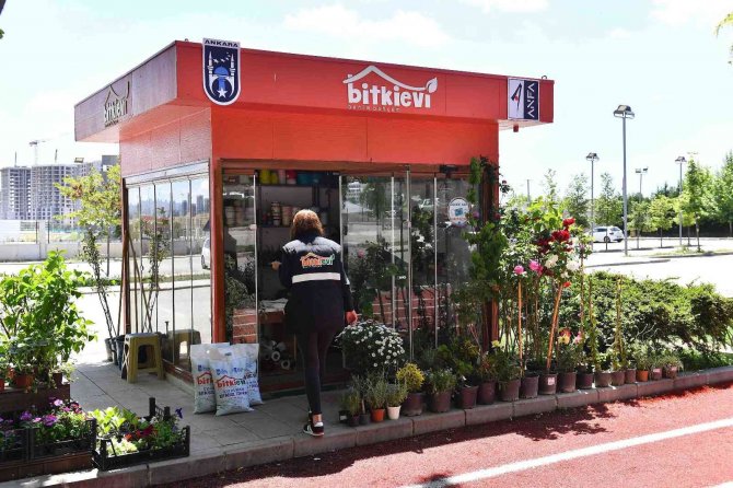 Anfa Bitki Evi Beşinci Şubesini Batıkent’te Açtı