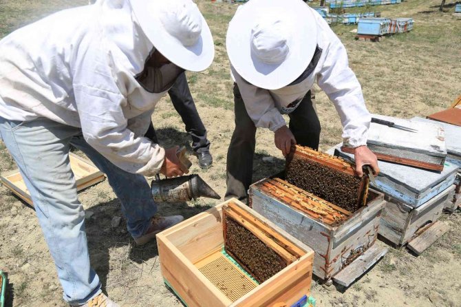 Arıcılık Akademisi 2’nci Mezunlarını Verdi