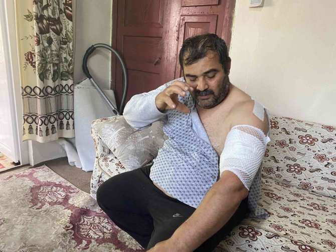 Ayı Saldırısına Uğrayan Vatandaş: “Beni Öldü Zannetti”