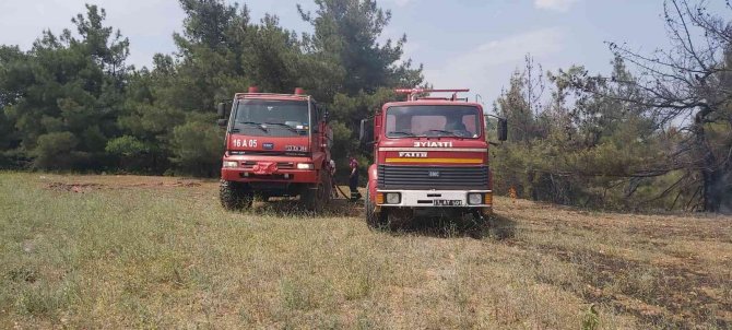 Bilecik’te Orman Yangını Korkuttu