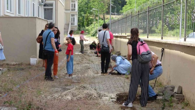 Ms Hastalığına Farkındalık Oluşturmak İçin Fidan Diktiler