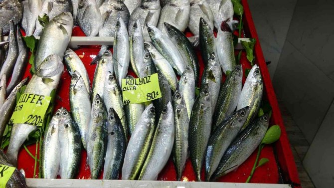 Çanakkale’de Geçen Sene Kilosu 70 Lira Olan Sardalya, 50 Liradan Tezgahlarda