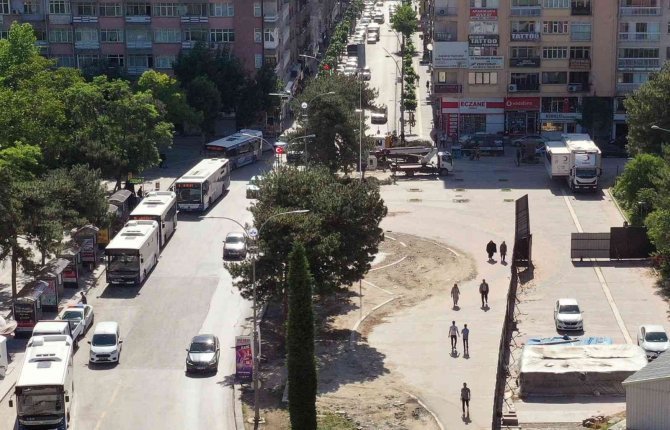 Kent Meydanı Sahasındaki Ağaçlar Taşınacak