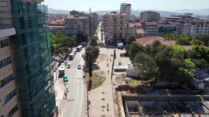 Kent Meydanı Sahasındaki Ağaçlar Taşınacak