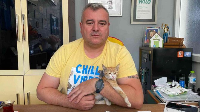 Otomobilin Çarptığı Kedi Yaşam Savaşı Veriyor, Ameliyat Olmazsa Hayatını Kaybedecek
