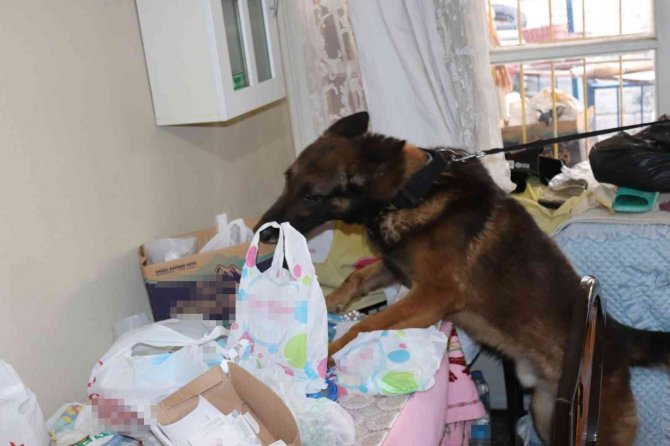 Uyuşturucu Tacirlerine Şafak Operasyonu: 5 Gözaltı