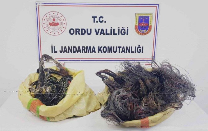 Ordu’da Kablo Hırsızlığı Ve Sahte İçki Üretimi Yapan Yabancı Uyruklu Şahıs Tutuklandı