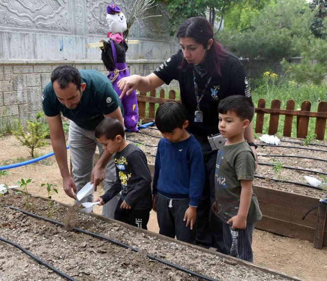 Okul Bostanı Projesiyle Öğrenciler Toprakla Buluşuyor