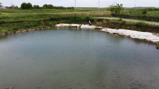 Siirt’te Doktor Balıklar Şifa Dağıtıyor