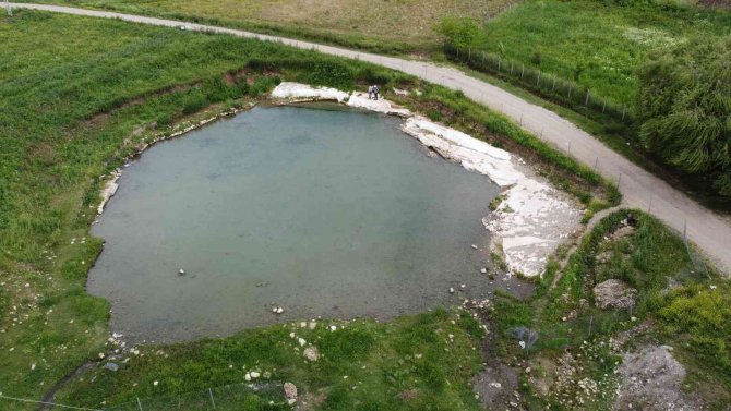 Siirt’te Doktor Balıklar Şifa Dağıtıyor