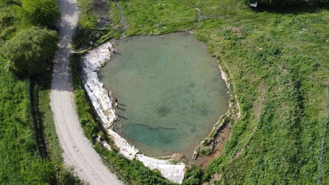 Siirt’te Doktor Balıklar Şifa Dağıtıyor