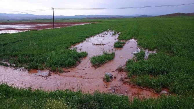 Sivas’ta Etkili Olan Dolu Tarım Arazilerine Zarar Verdi