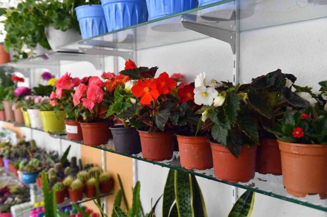 Anfa Bitki Evi Beşinci Şubesini Batıkent’te Açtı