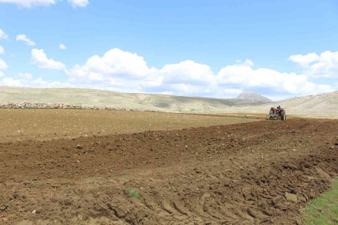 Gazipaşalı Çiftçilere Nohut Desteği