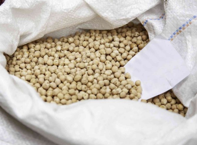 Gazipaşalı Çiftçilere Nohut Desteği