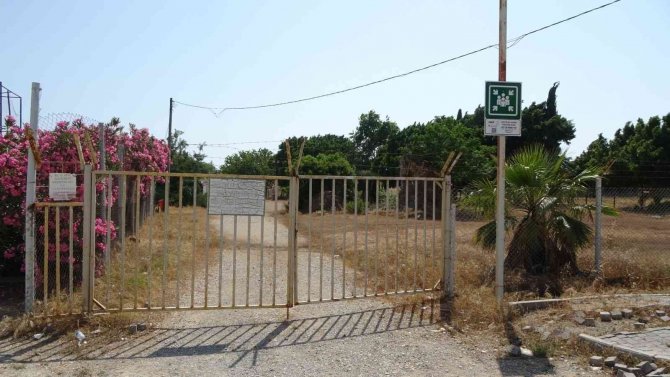 Gençler Saha Bulamazken Terk Edilen Stadı Kurumuş Ot Ve Dikenler Kapladı
