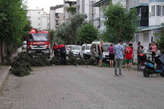 Aydın’da 20 Dakikalık Fırtına Ortalığı Birbirine Kattı