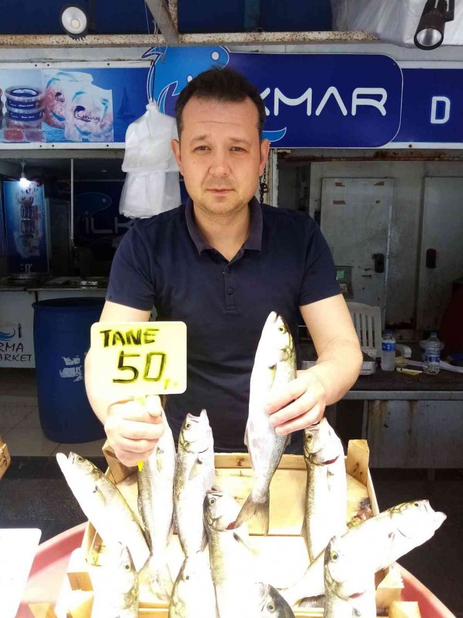 Marmara’da Lüfer Bereketi