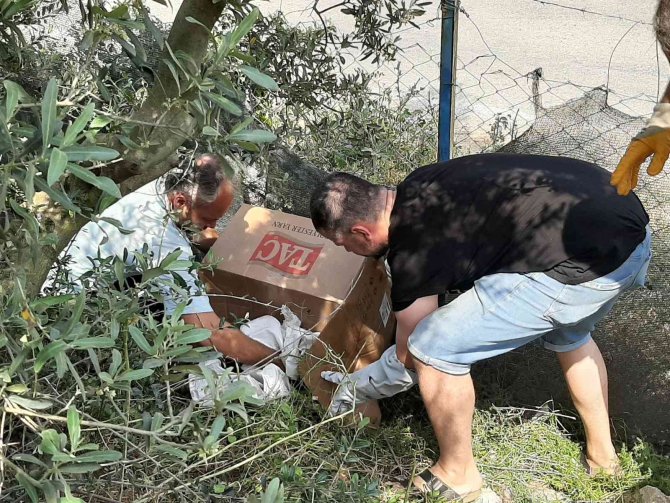 Yaralı Puhu Kuşunu Nefes Kesen Operasyonla Kurtardılar