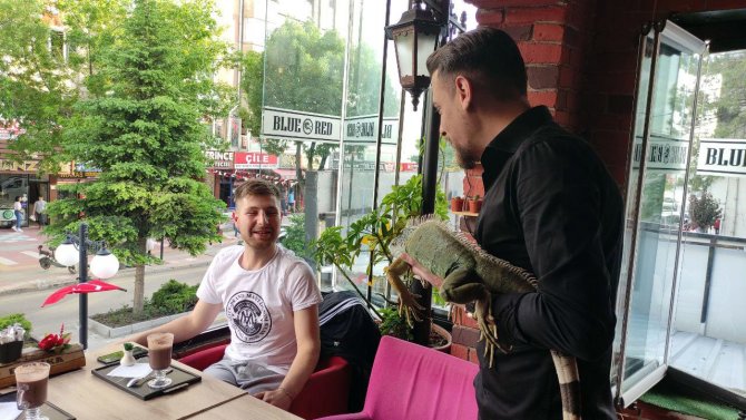 Müşterilerini İguana İle Karşılıyor