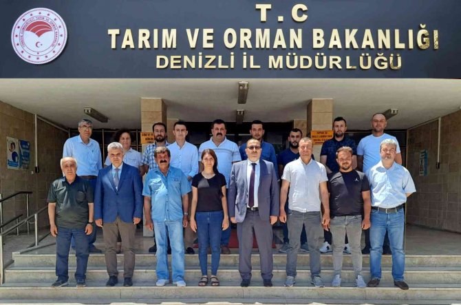 Kırsal Kalkınma İçin Uzman Ellere Hibe Desteği Verilecek