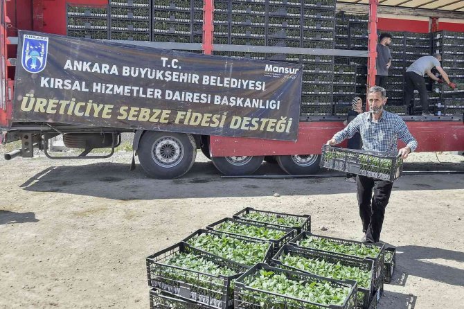 9 Bin 640 Çiftçiye 9,5 Milyon Sebze Fidesi Dağıtıldı