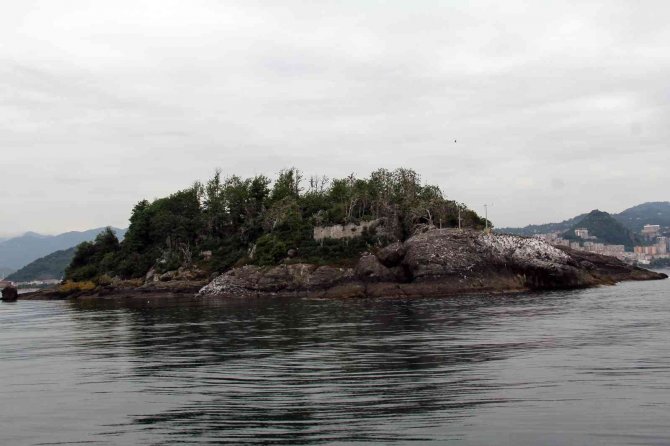 Giresun Adası’na Gezi Yasağı Kararına Turizmcilerden Tepki