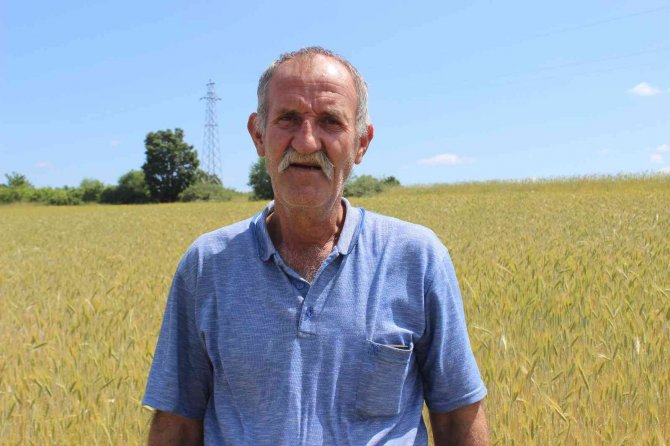 Kırklareli’nde Son Yağışlar Buğday Üreticilerine Umut Oldu