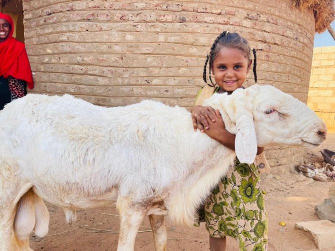 İ̇hlas Vakfı Kurban Hisse Vekâlet Bedellerini Açıkladı
