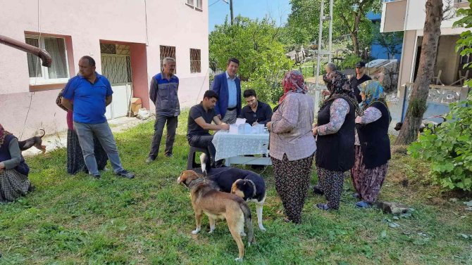 Zonguldak’da Köpekler Artık Mikroçipli