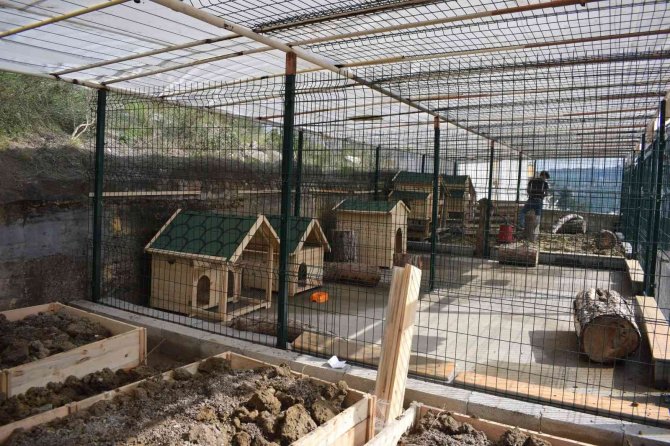 Özel Eğitim Uygulama Okullarında “Dev Dönüşüm” Projesine Start Verildi