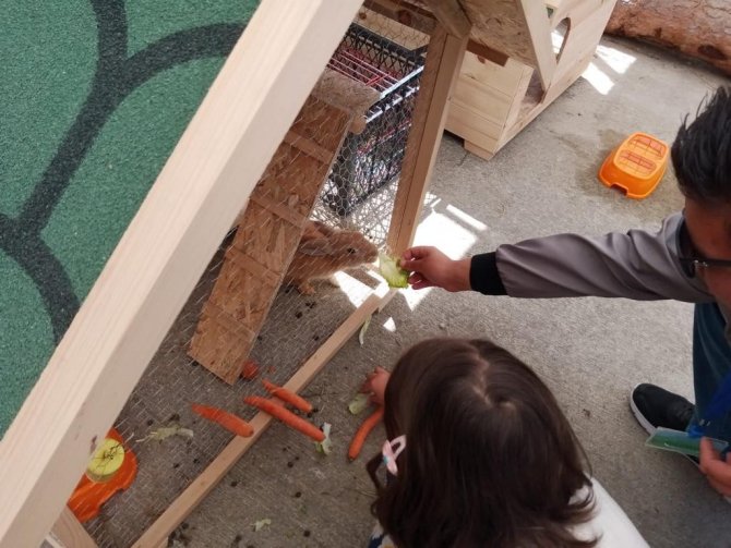 Özel Eğitim Uygulama Okullarında “Dev Dönüşüm” Projesine Start Verildi