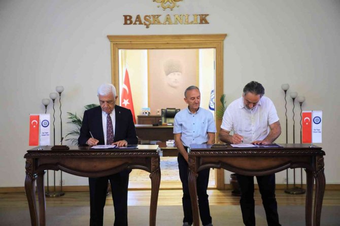 Milas Zeytininin Geliştirilmesi Ve Yaygınlaştırılması Protokolü