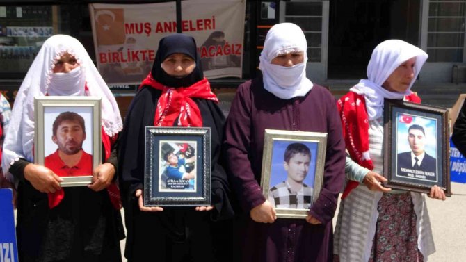 9 Yıldır Oğlundan Haber Alamayan Anne, Hdp Ve Pkk’ya Tepki Göstererek Kaldırıma Yattı