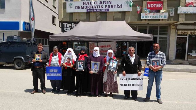 9 Yıldır Oğlundan Haber Alamayan Anne, Hdp Ve Pkk’ya Tepki Göstererek Kaldırıma Yattı