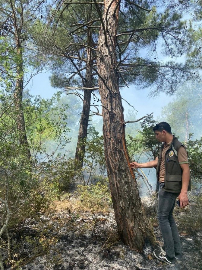Ormanlık Alana Düşen Yıldırım Yangına Neden Oldu
