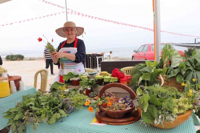 Yöresel Ot Yemekleri Festivali: 1878 Çeşit Ot Tanıtıldı